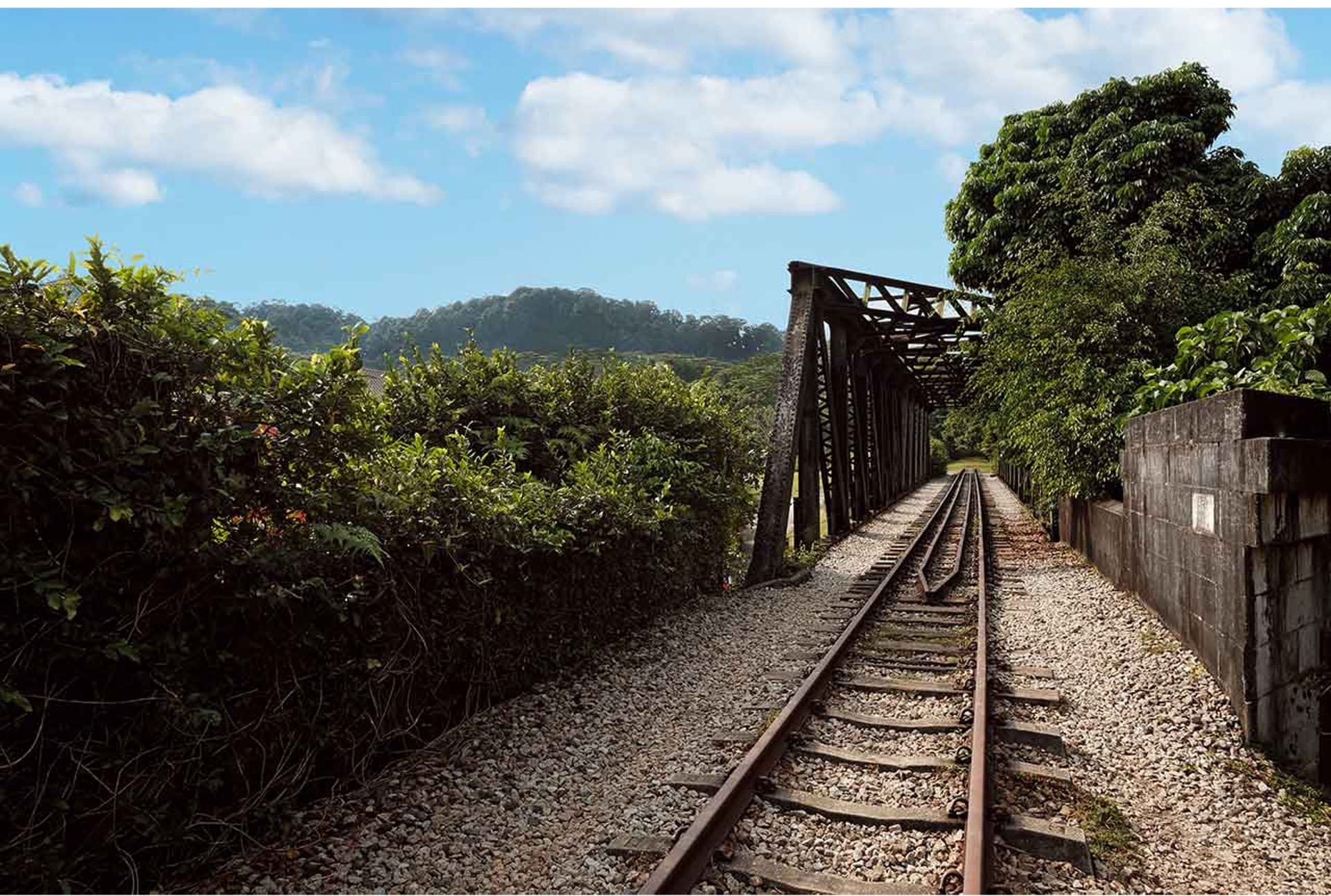 Rail Corridor Track